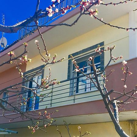 Relax Home Vacation Néa Péramos Dış mekan fotoğraf