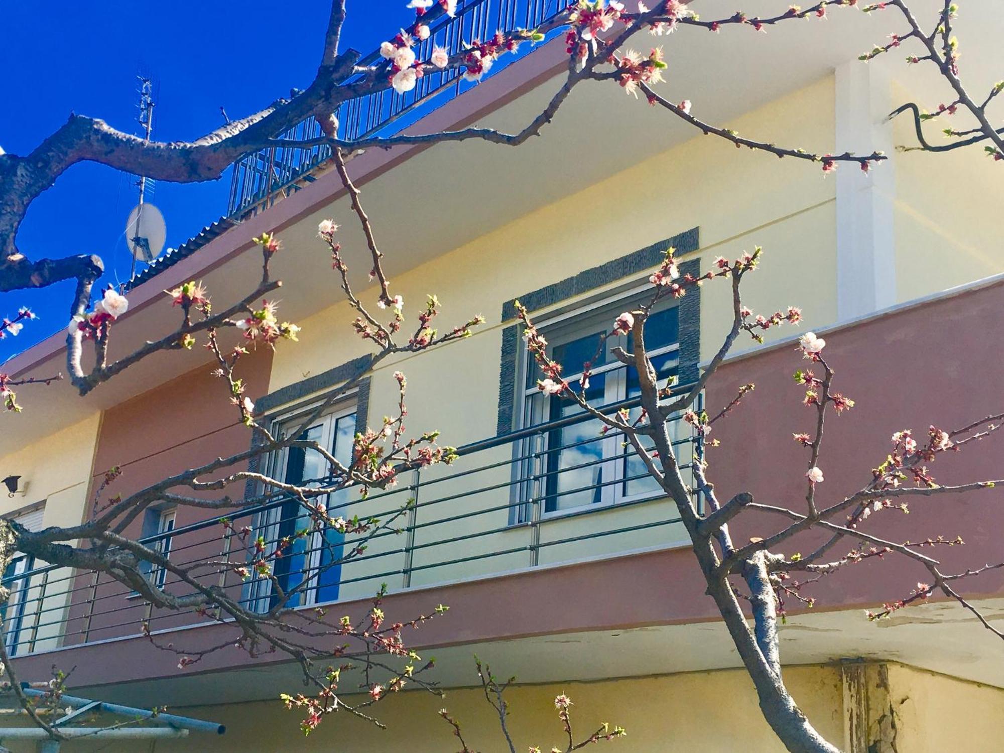 Relax Home Vacation Néa Péramos Dış mekan fotoğraf